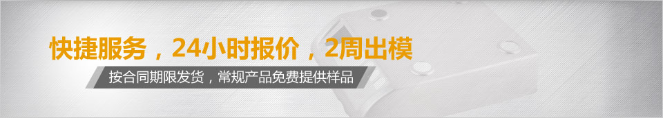 快捷服務(wù)，24小時(shí)報(bào)價(jià)，2周出模